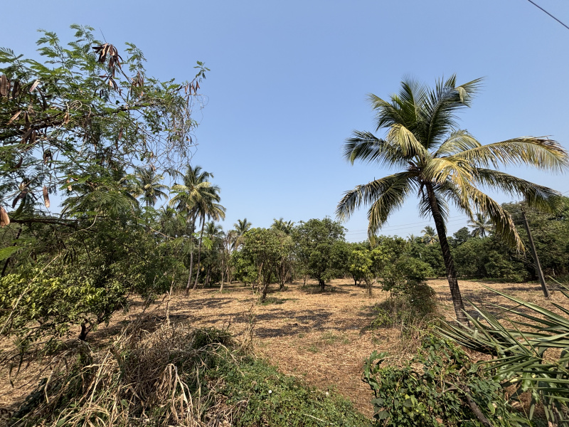  2 Acre Residential Plot for Sale in Kharekuran, Palghar