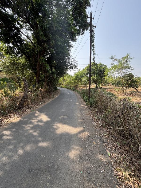  2 Acre Residential Plot for Sale in Kharekuran, Palghar