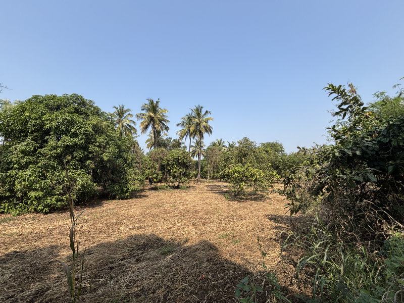  2 Acre Residential Plot for Sale in Kharekuran, Palghar
