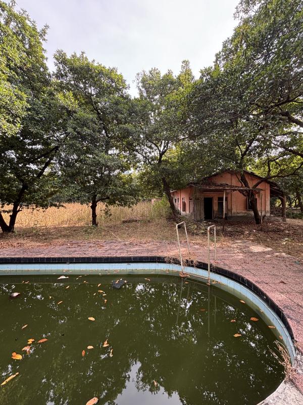 2 BHK 140 Guntha Farm House for Sale in Dahanu, Palghar