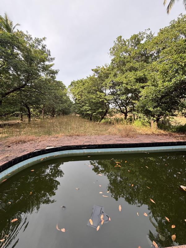 2 BHK 140 Guntha Farm House for Sale in Dahanu, Palghar