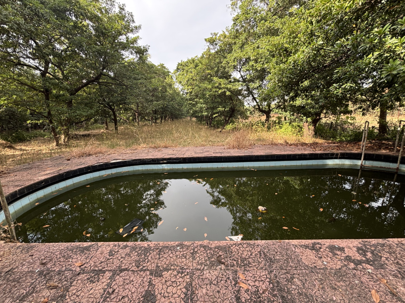 2 BHK 140 Guntha Farm House for Sale in Dahanu, Palghar