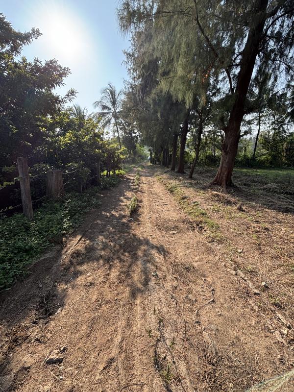  32 Acre Residential Plot for Sale in Dahanu, Palghar