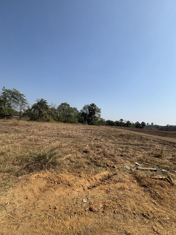  5 Acre Residential Plot for Sale in Sativali Naka, Palghar