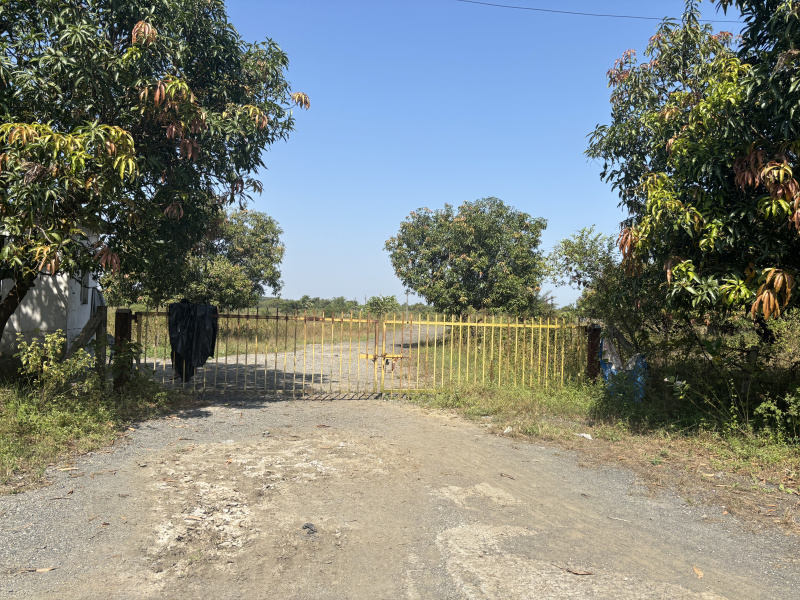  40000 Guntha Residential Plot for Sale in Wada, Palghar