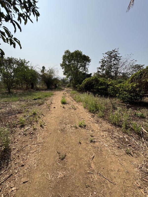  24 Acre Residential Plot for Sale in Manor, Palghar