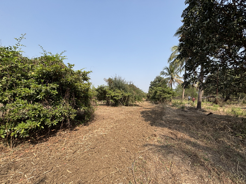  24 Acre Residential Plot for Sale in Manor, Palghar