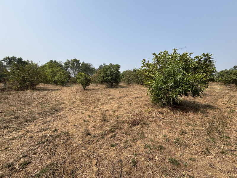  1 Acre Residential Plot for Sale in Kelwa, Palghar
