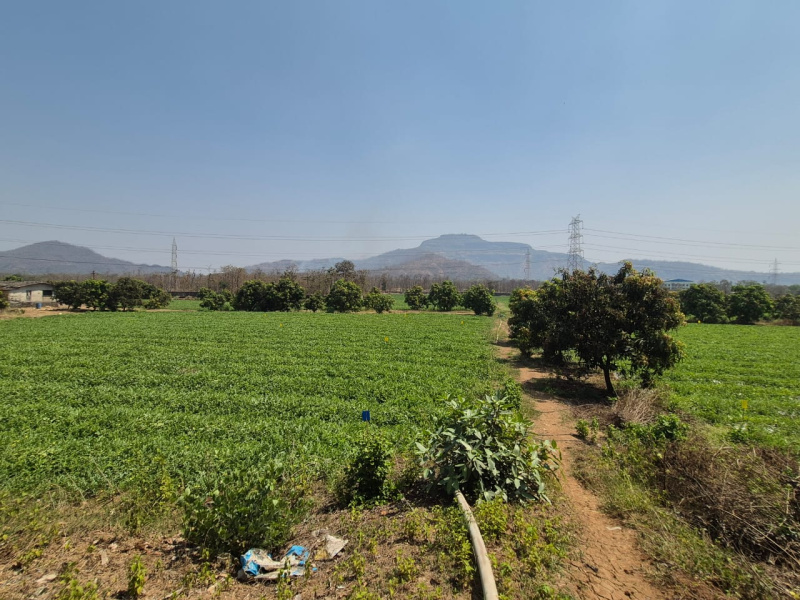  20 Acre Residential Plot for Sale in Wada, Palghar