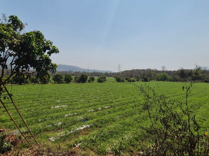  20 Acre Residential Plot for Sale in Wada, Palghar