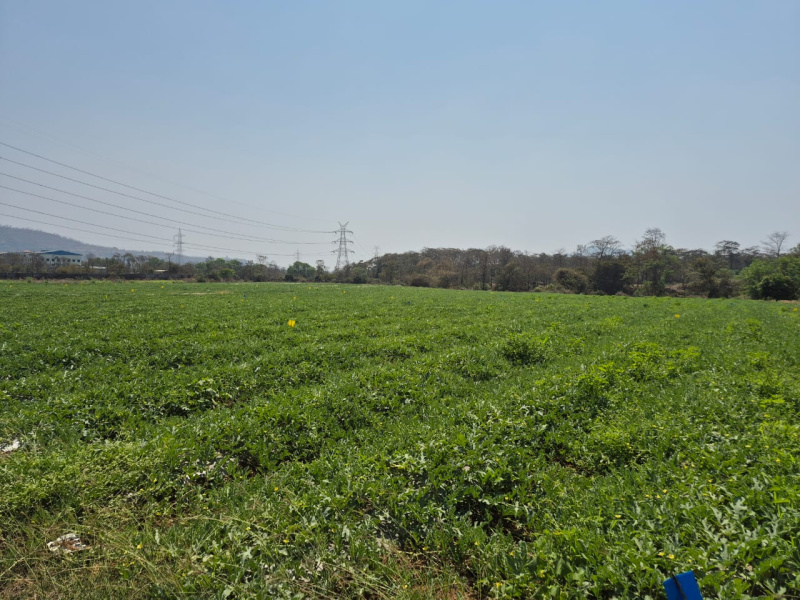  20 Acre Residential Plot for Sale in Wada, Palghar