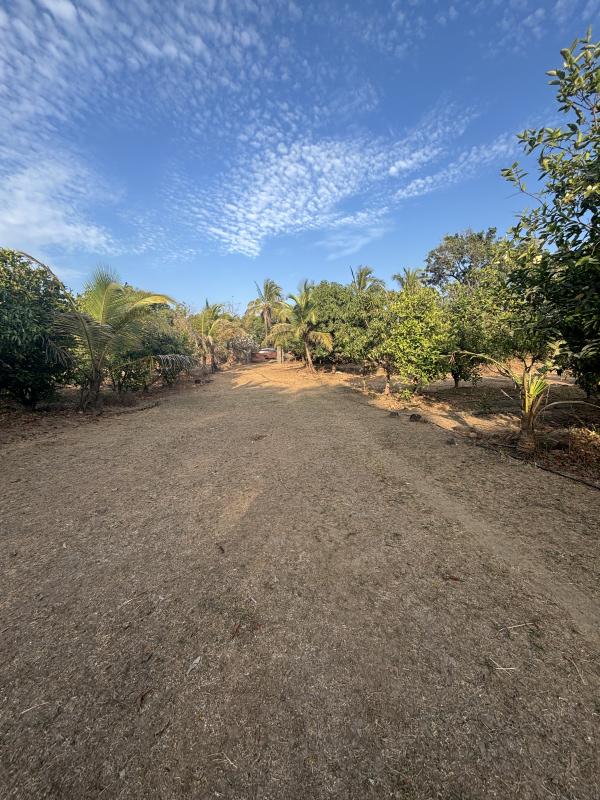  80 Guntha Residential Plot for Sale in Dahanu, Palghar