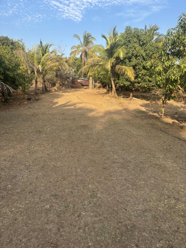  80 Guntha Residential Plot for Sale in Dahanu, Palghar