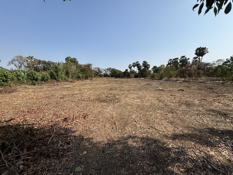  40 Guntha Residential Plot for Sale in Boisar East, Palghar