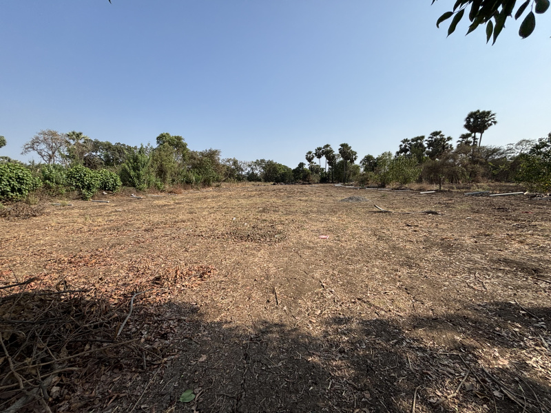  40 Guntha Residential Plot for Sale in Boisar East, Palghar