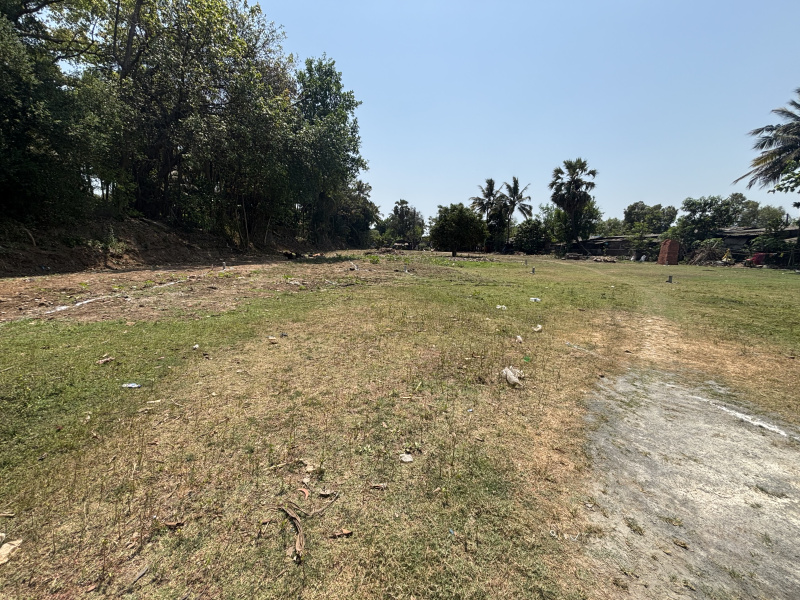  2000 Sq.ft. Residential Plot for Sale in Mahim Road, Palghar