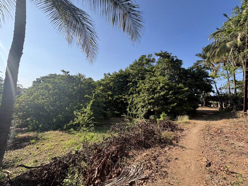  40 Guntha Residential Plot for Sale in Gholvad, Palghar