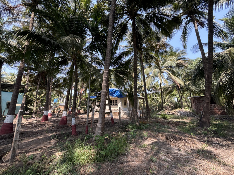  4500 Sq.ft. Residential Plot for Sale in Khaira, Boisar East, Palghar