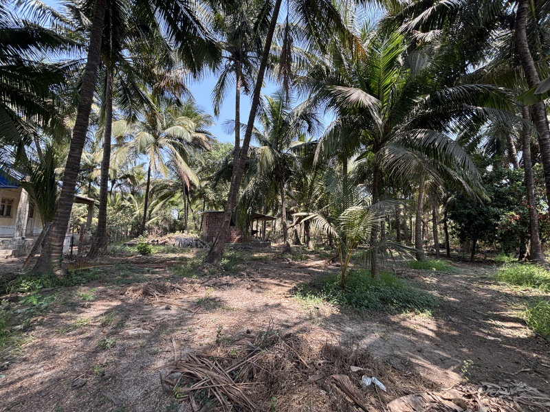  4500 Sq.ft. Residential Plot for Sale in Khaira, Boisar East, Palghar