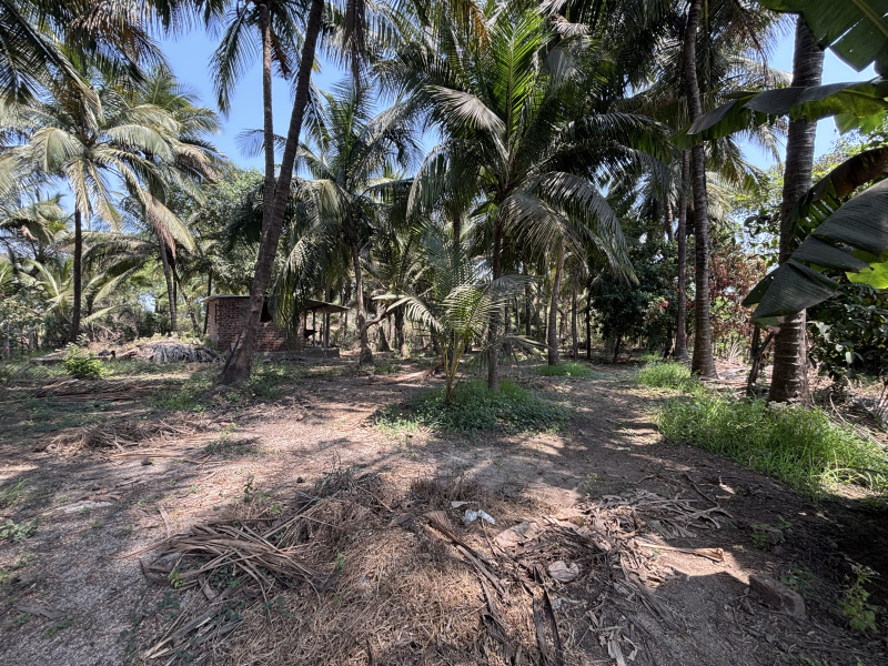  4500 Sq.ft. Residential Plot for Sale in Khaira, Boisar East, Palghar