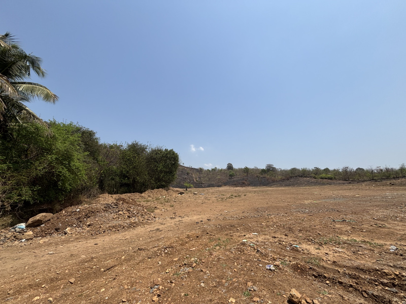  40 Guntha Residential Plot for Sale in Saphale, Palghar