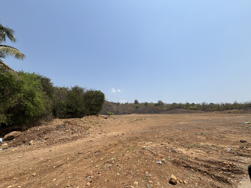 40 Guntha Residential Plot for Sale in Saphale, Palghar