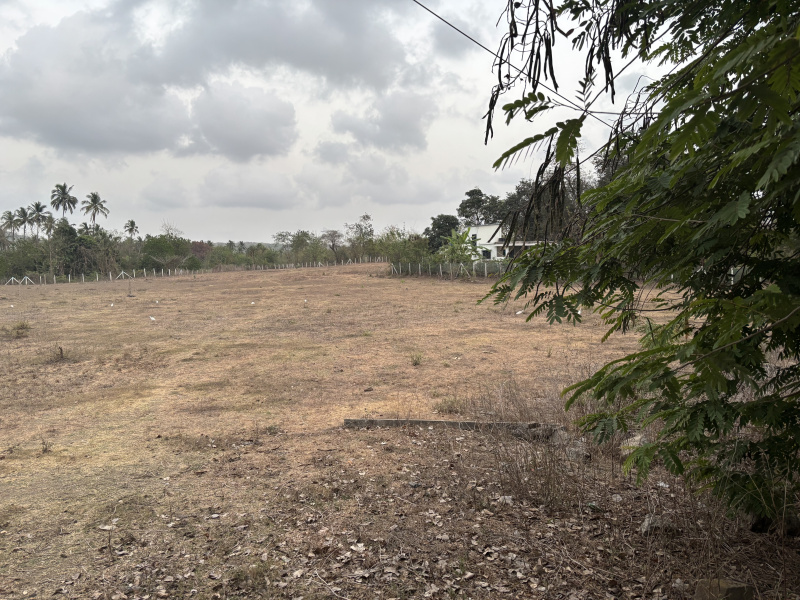  200 Guntha Residential Plot for Sale in Dahanu, Palghar
