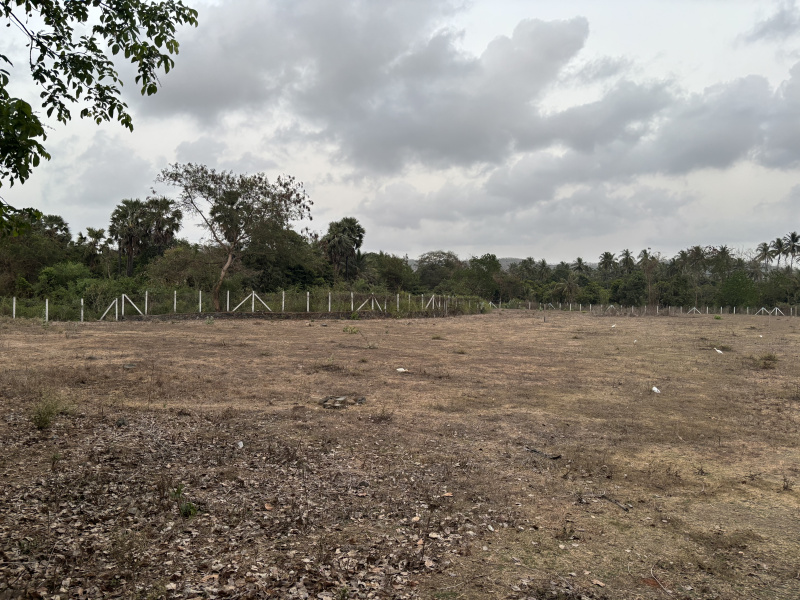  200 Guntha Residential Plot for Sale in Dahanu, Palghar