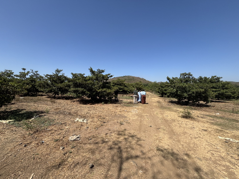  5 Hectares Residential Plot for Sale in Dahanu, Palghar