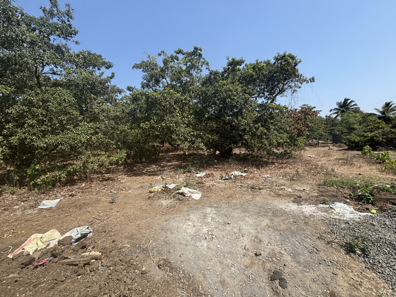  5 Acre Residential Plot for Sale in Dahanu, Palghar