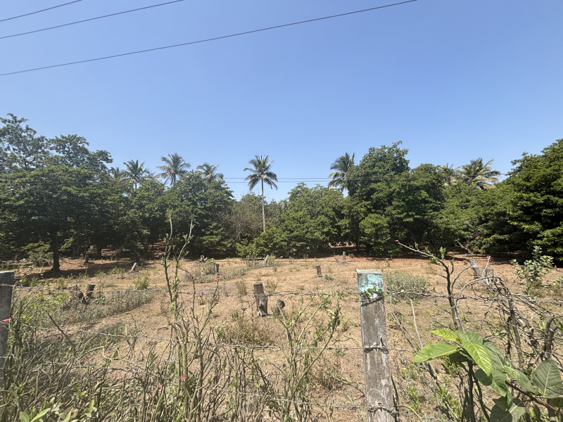  9 Acre Residential Plot for Sale in Dahanu, Palghar