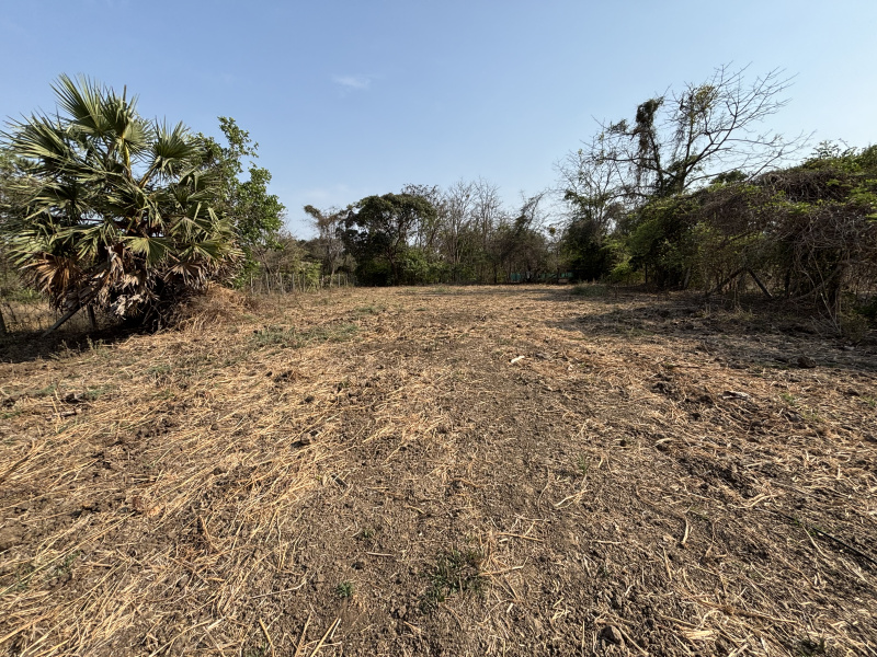  2 Acre Residential Plot for Sale in Dahanu, Palghar