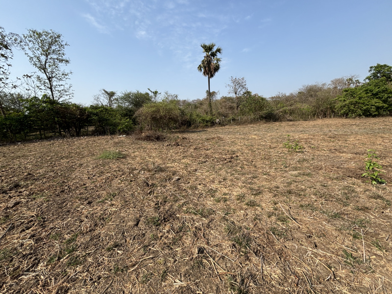  2 Acre Residential Plot for Sale in Dahanu, Palghar