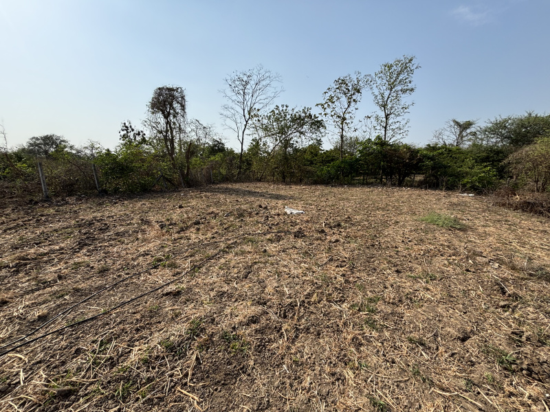  2 Acre Residential Plot for Sale in Dahanu, Palghar