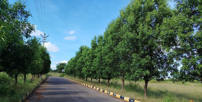  246 Sq. Yards Residential Plot for Sale in Yacharam Mandal, Hyderabad