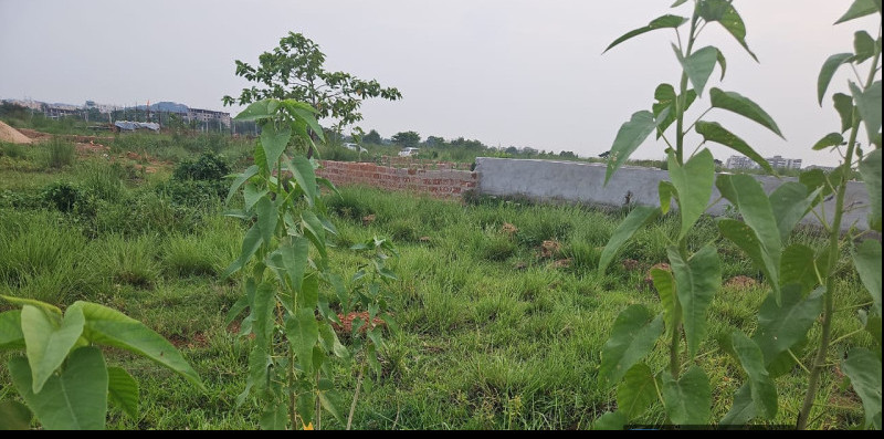  2068 Sq.ft. Residential Plot for Sale in Daruthenga, Bhubaneswar