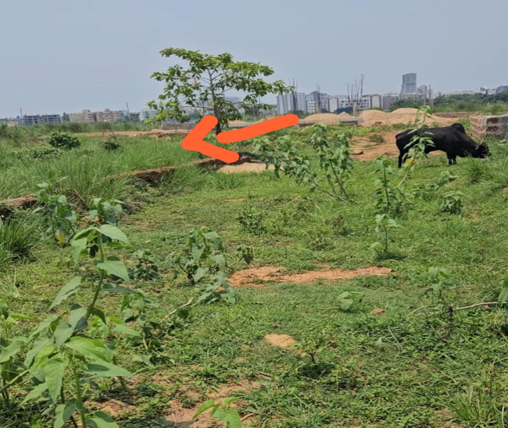  2068 Sq.ft. Residential Plot for Sale in Daruthenga, Bhubaneswar