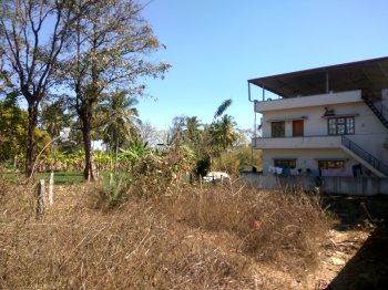  Residential Plot for Sale in Kushalnagar, Kodagu