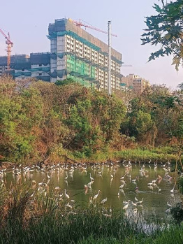  Residential Plot for Sale in Mulund, Mumbai