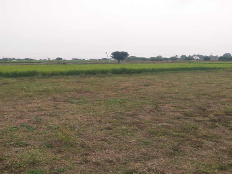  1000 Sq.ft. Commercial Land for Sale in Shevapet, Salem