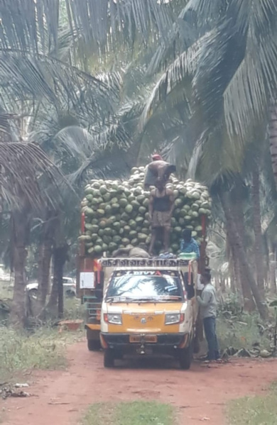  5 Acre Agricultural/Farm Land for Sale in Namagiripettai, Namakkal