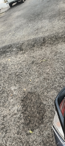 3 BHK 1530 Sq.ft. Apartment for Sale in Fairlands, Salem