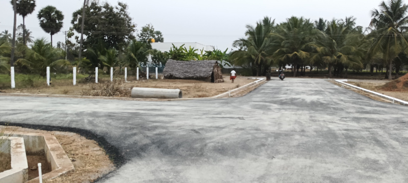  1000 Sq.ft. Residential Plot for Sale in Shevapet, Salem