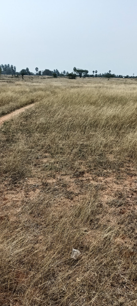  4 Acre Agricultural/Farm Land for Sale in Poolathur, Kodaikanal