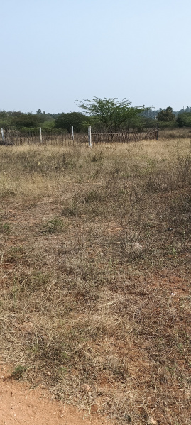  4 Acre Agricultural/Farm Land for Sale in Poolathur, Kodaikanal