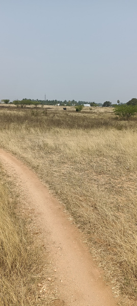  4 Acre Agricultural/Farm Land for Sale in Poolathur, Kodaikanal