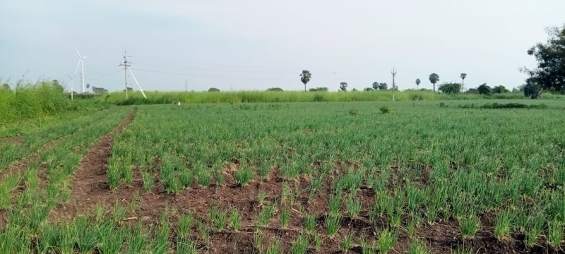  3200 Sq.ft. Residential Plot for Sale in Nedunchalai Nagar, Salem