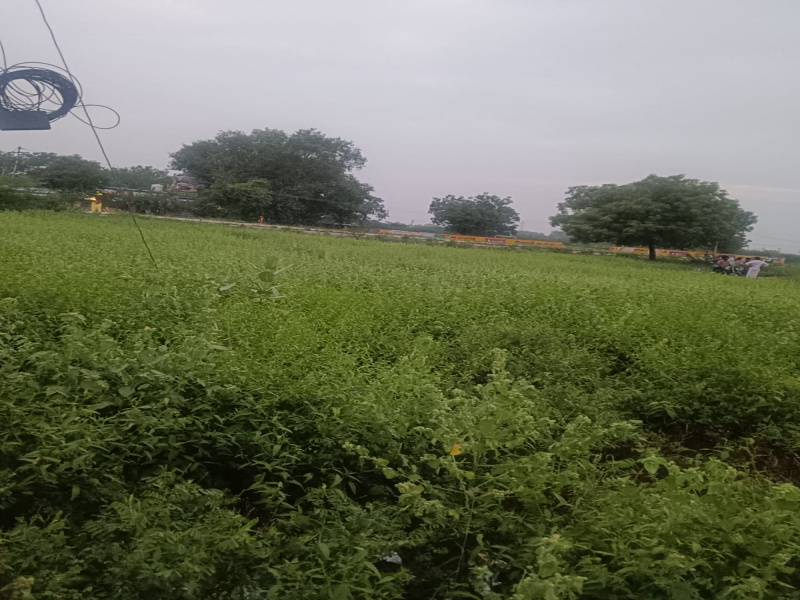 1 BHK 400 Sq.ft. House for Sale in Kannankurichi, Salem