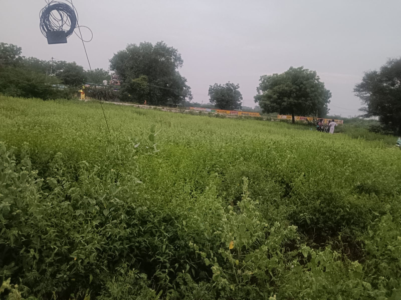 1 BHK 400 Sq.ft. House for Sale in Kannankurichi, Salem