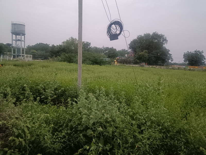 1 BHK 400 Sq.ft. House for Sale in Kannankurichi, Salem